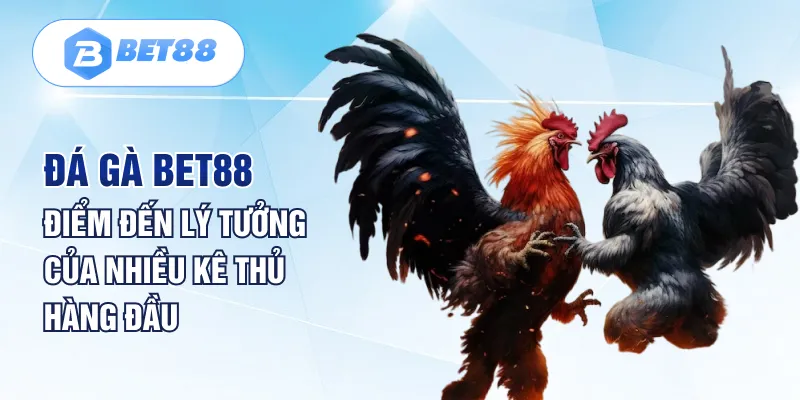 Đá Gà BET88 online trò chơi của người tinh tế